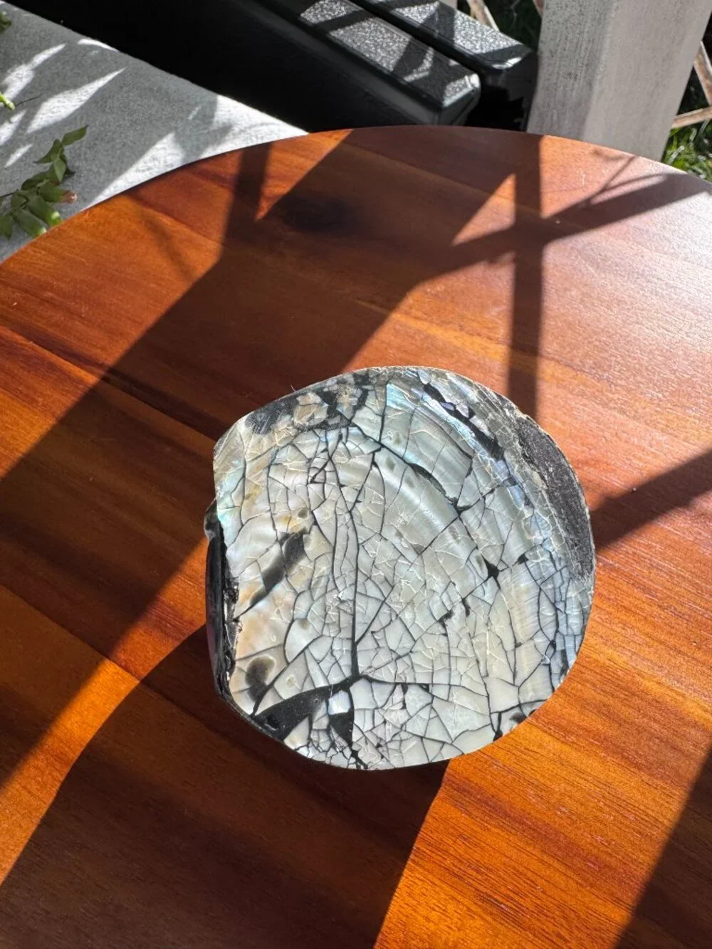 Abalone Shell Trinket Box – Iridescent Mosaic Jewellery Holder